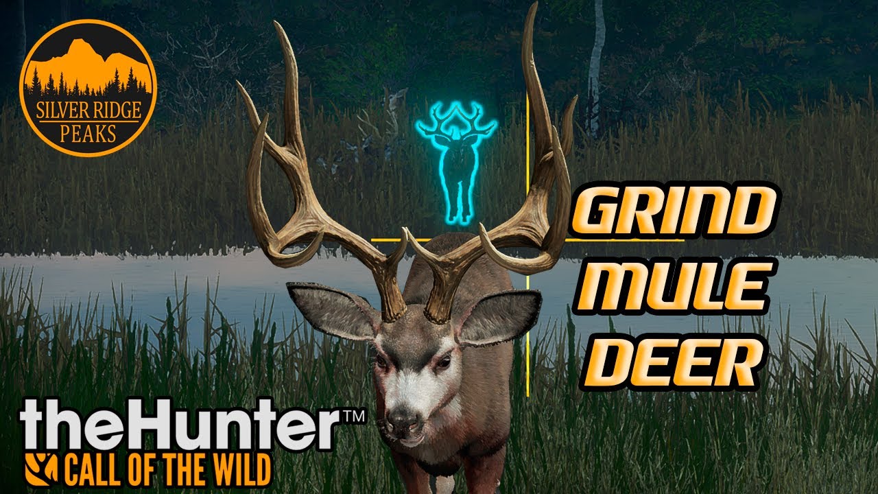 LIVE ON BUSCA ao Veado-Mula LENDÁRIO🔥 ESTRATÉGIA do Nivel 4 em SILVER RIDGE PEAKS!