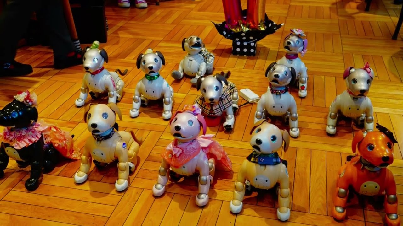 71回目のペンギンカフェ。aiboファンミの次の日のフリーオフ会です