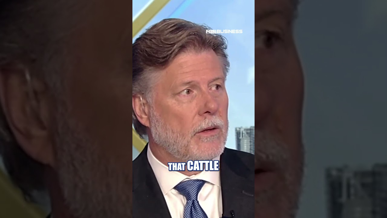 GOP rep says creating beef price problems will not rebuild cattle herd #shorts