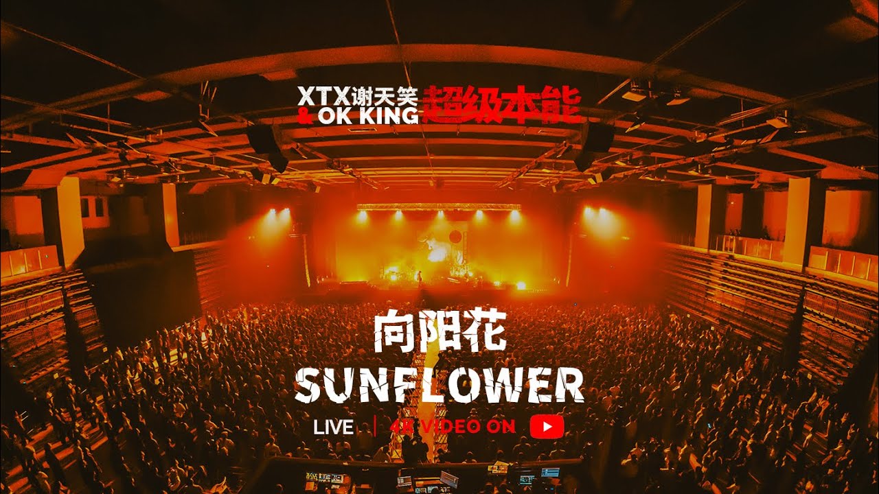 【4k】【LIVE】向阳花 Sunflower - 谢天笑XTX