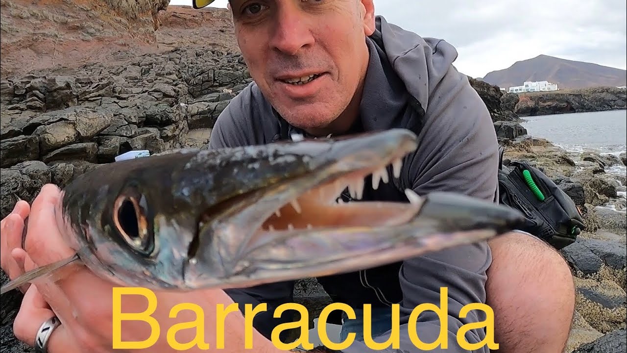 Lanzarote lure fishing for Barracuda Canary Islands in January