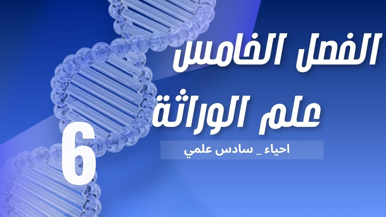 المحاضرة (6) | التضريب الأختباري.