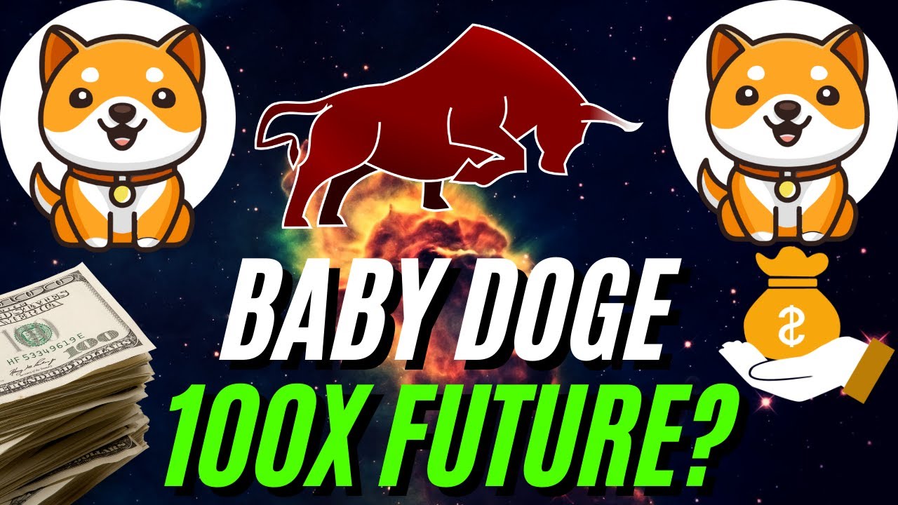 Baby Doge Set To 100X In The Future? BABY DOGE TO THE MOON! 🚀