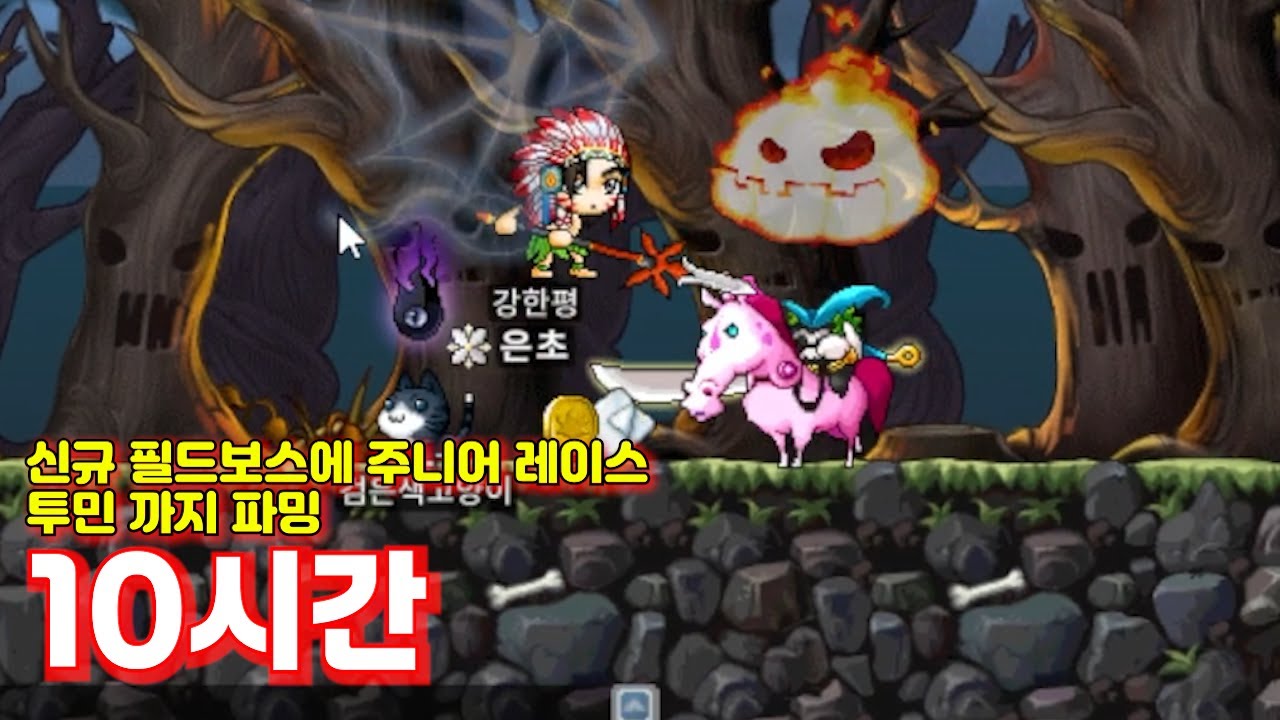 메이플 랜드) 주문서 쏟아지는 주니어 레이스와 신규 지역 크림슨우드 필드보스 파밍 10시간 도감작