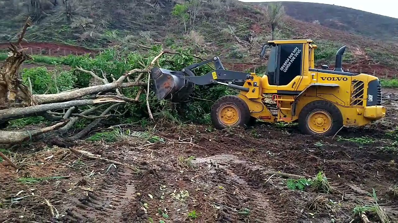 Limpeza de baixão. Parte 1