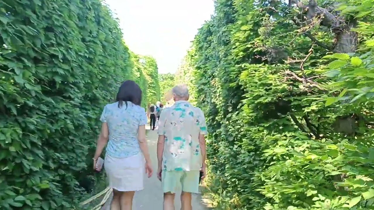 تصميم الحدائق في فيينا | Garden Design in Vienna | The Charm of European Landscape Architecture