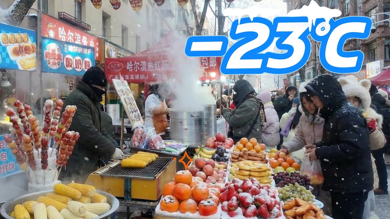一路向北，-23℃的哈爾濱早市是怎麼樣呢？大家都說紅專早市除了做直播的網紅和攤主外，全是外地人。真是這樣嗎？