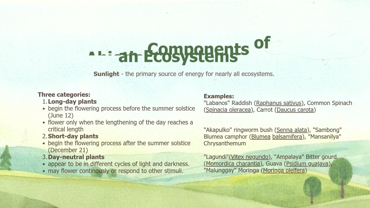 The Ecosystem Structure, Function and Components (Abiotic Components) for Nursing Students