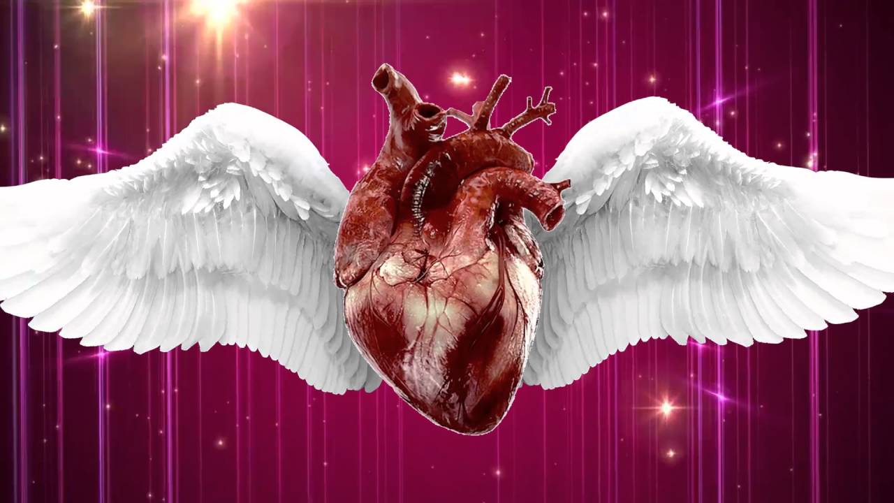 Diamonds and Gold [MEME] (GORE WARNING)