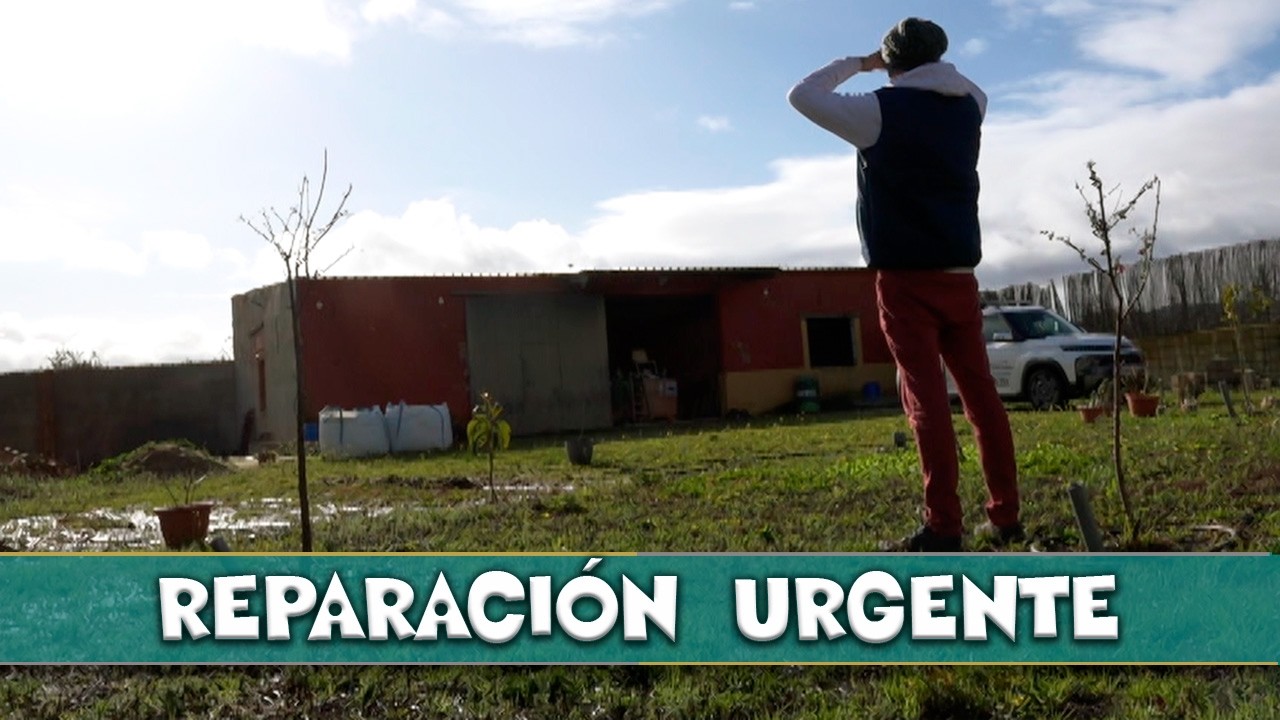 El tejado de la finca pedía AYUDA!!!