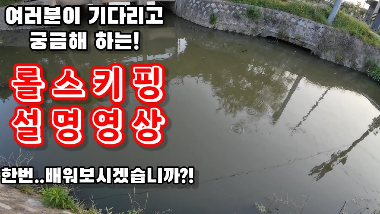 아무도 이렇게 알려준적 없는 롤스키핑 개념원리! 제대로 알려드립니다! #롤스키핑 #배스낚시