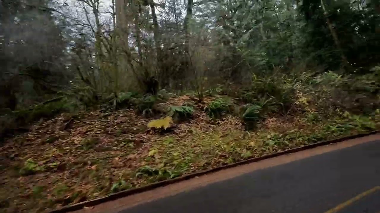 Historic Columbia River Highway