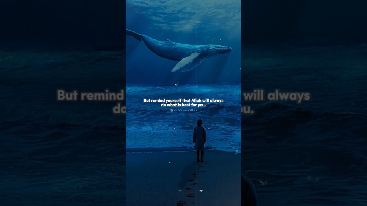 Your time will come 💙🫧 || The way of the tears Nasheed