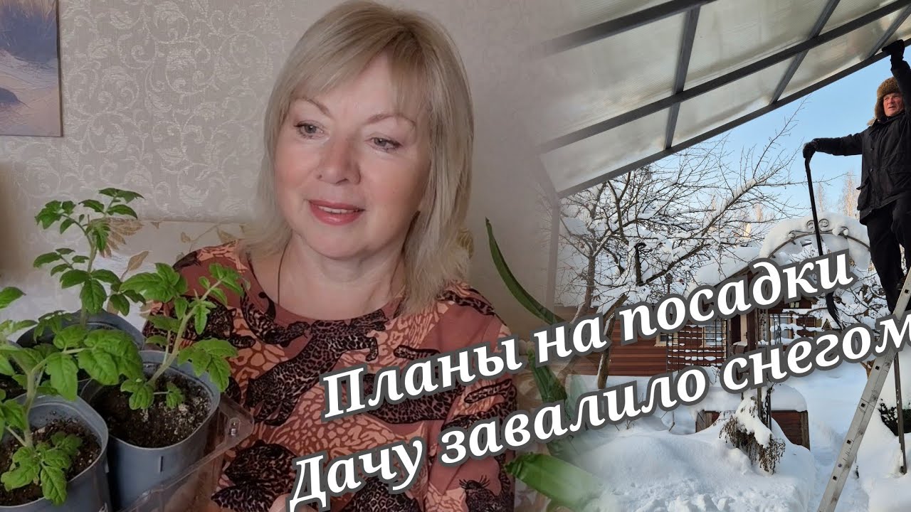 Приехали домой Скоро сеять  Планирую посадки Как раньше не будет. Дачу завалило снегом