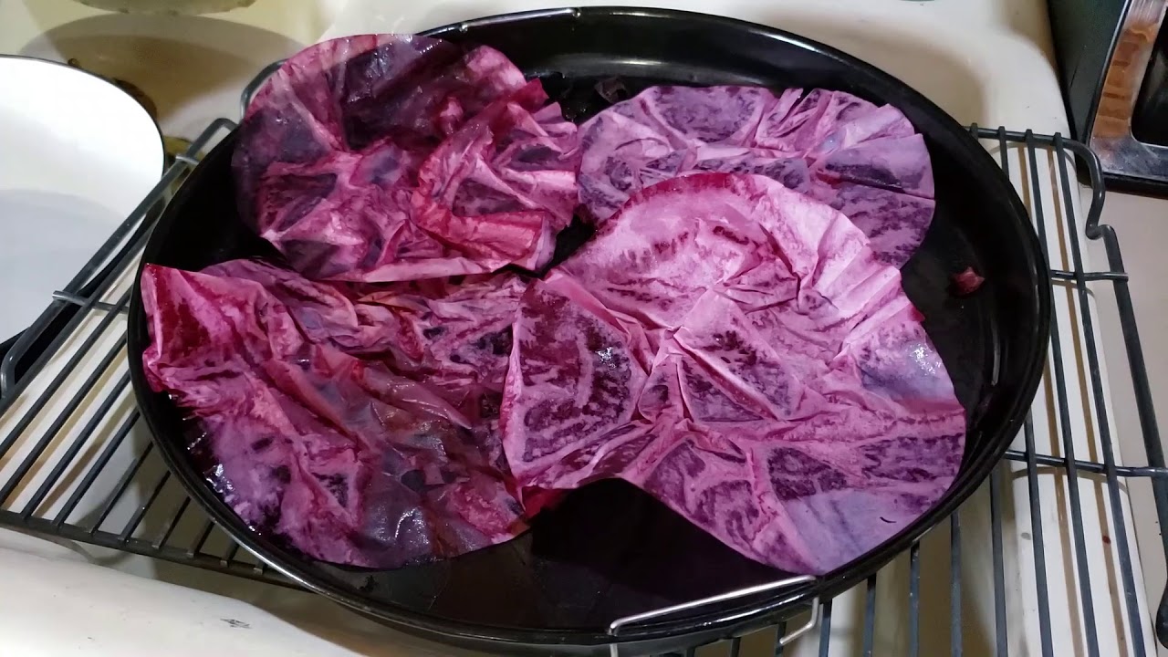 Natural  Hibiscus Paper Dye from Leftover Tea