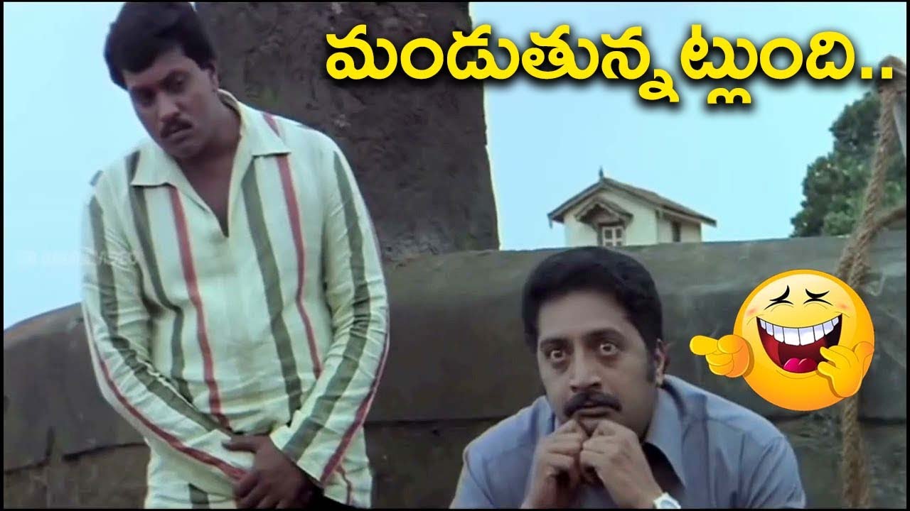 Sunil Back To Back Hilarious Comedy Scenes | Telugu Comedy Scenes || iDream Bhimavaram