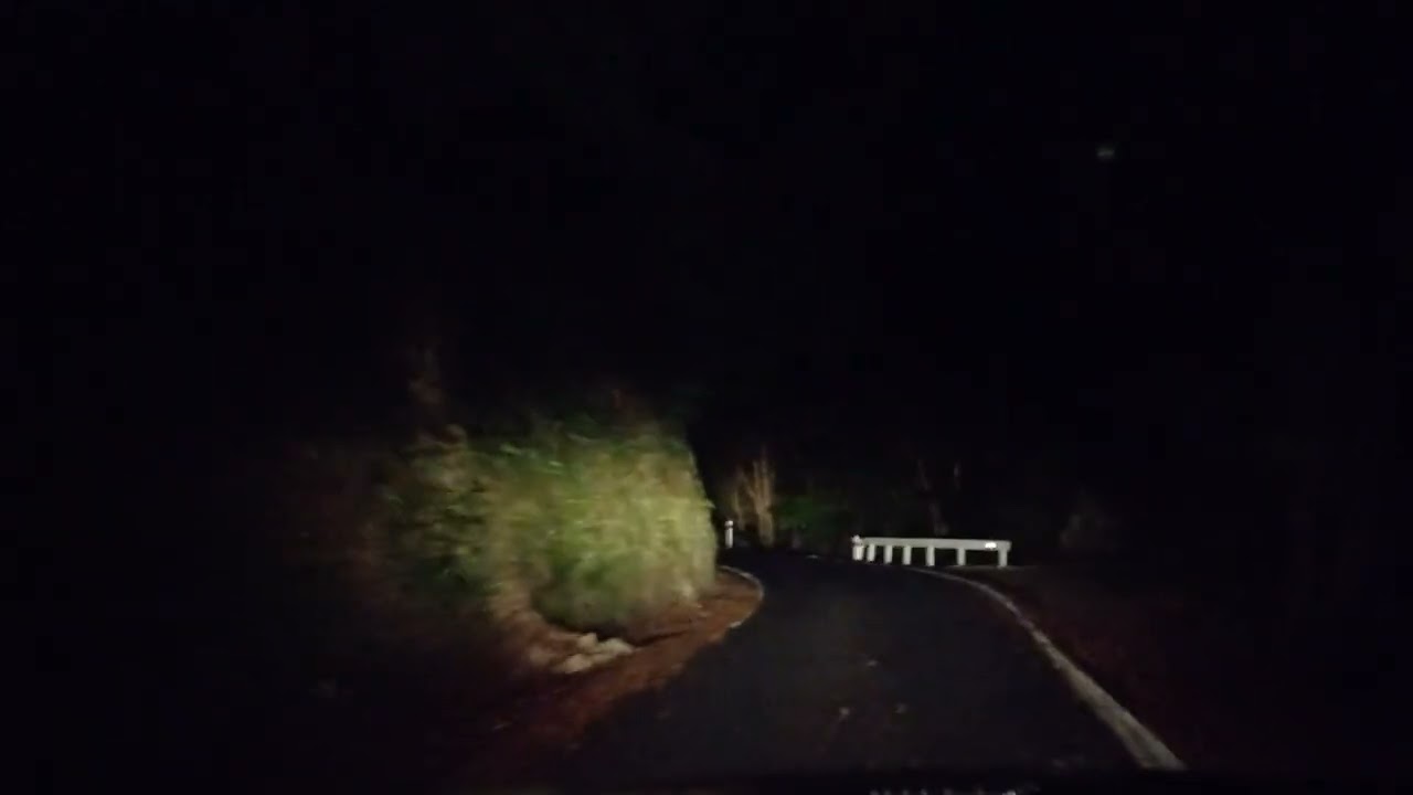 Drive 48 Return - Night Forest - Akatarawa Road Rambles