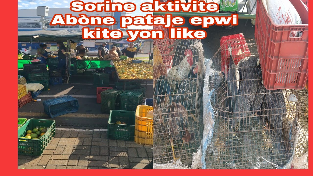 Brésil ak 100rs men sa mw achte 💸 tt bagay vin'n chè Brésil ??