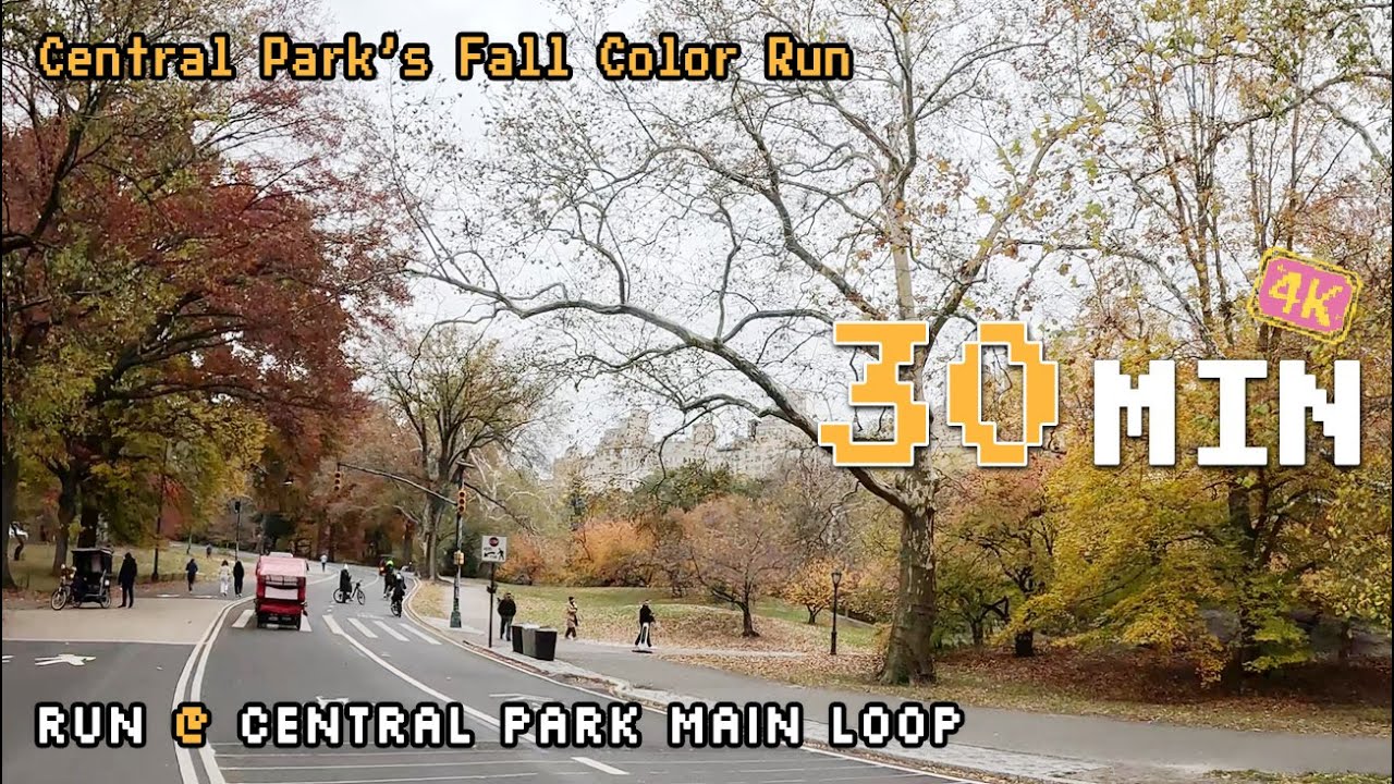 Central Park’s Fall Colors Run With Me