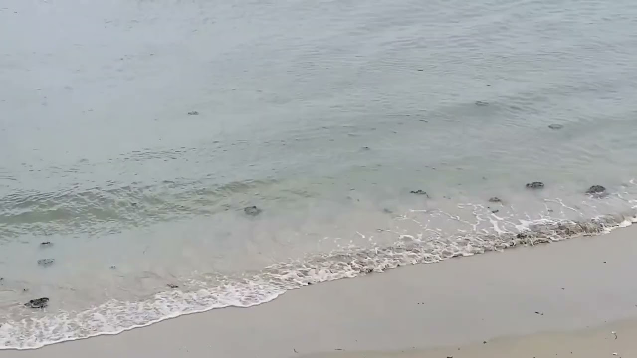 Joint Point Beach Cape Peron | Soothing ocean waves | Nature & Peace | Perth Australia 