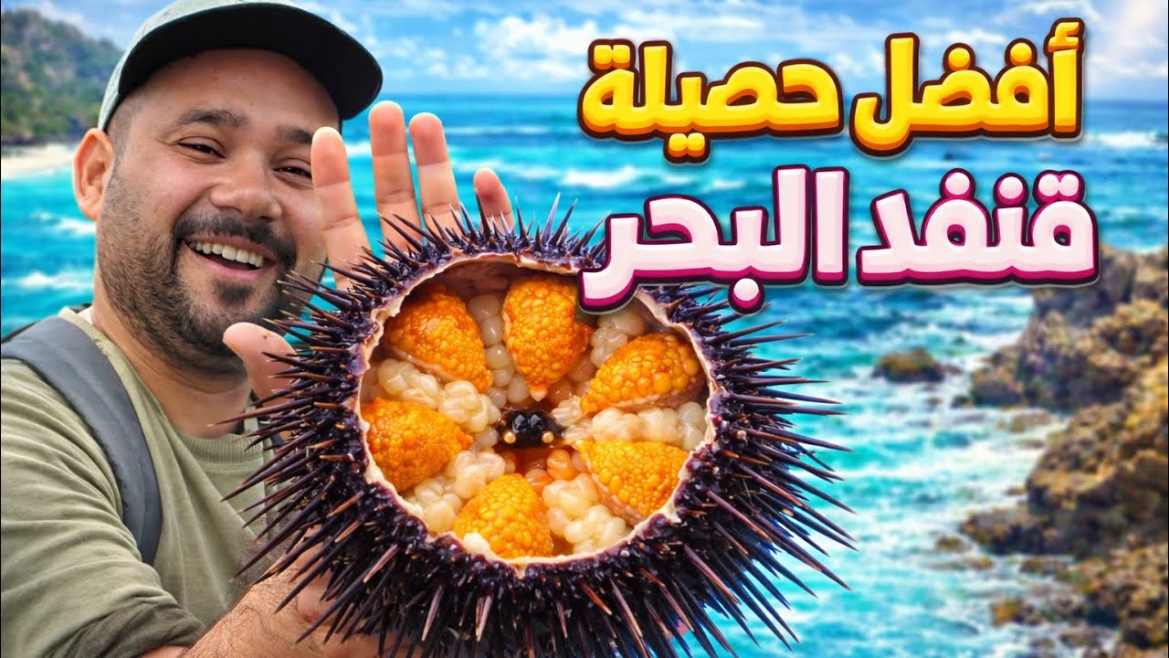 حسيلة من قنفد 🤯 البحر دواء البرد