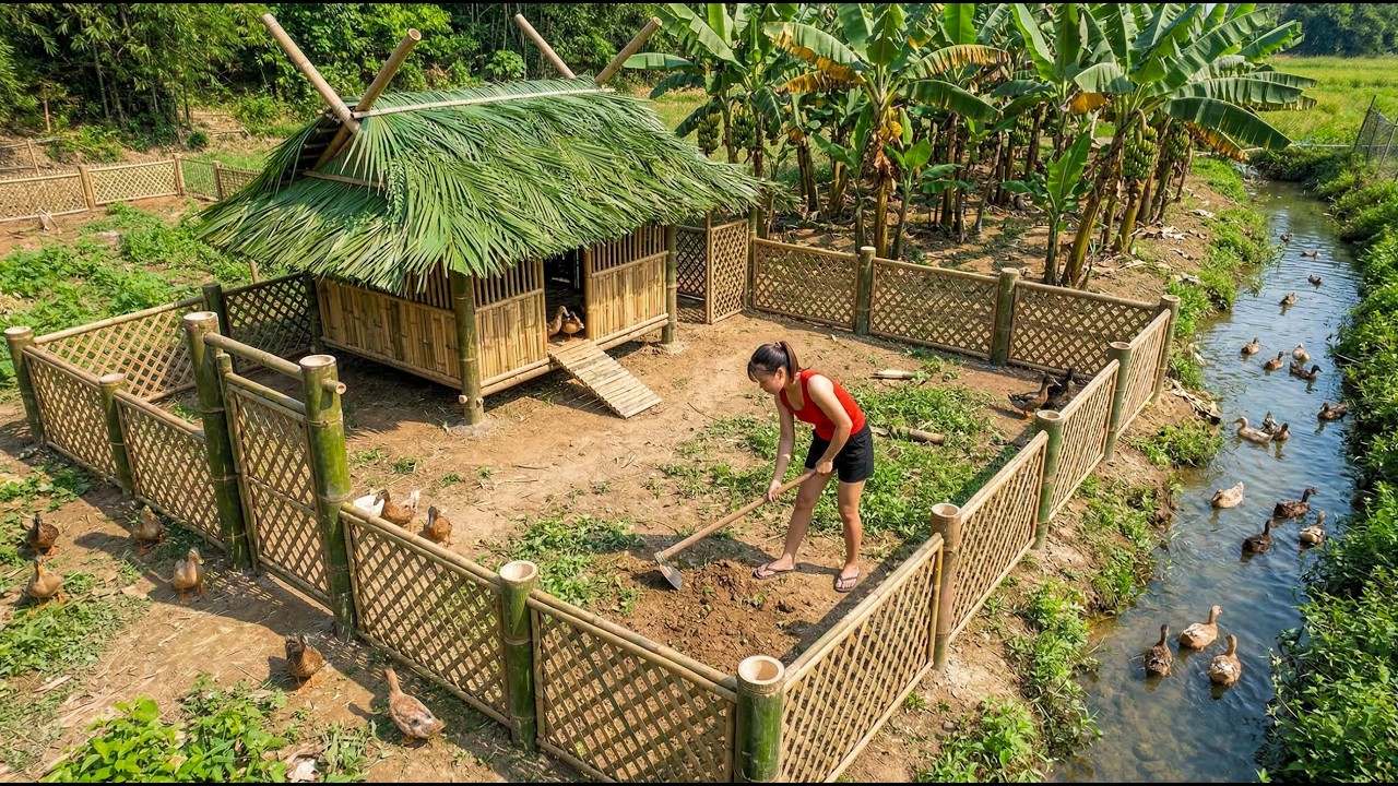 Building a 1000+ Duck Farm Behind My New Bamboo House | Off Grid Life
