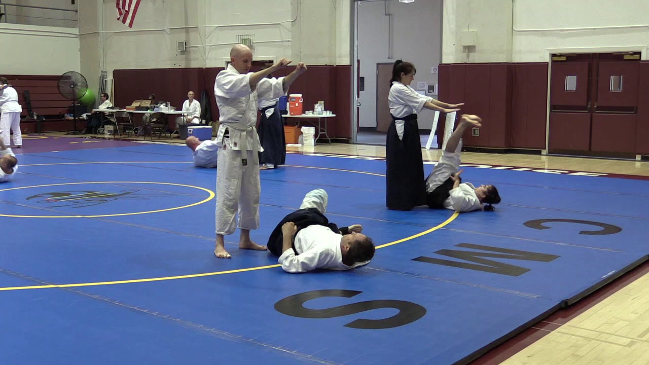 Birankai Aikido Summer Camp 2019 - F. Apodaca Shihan, Class 4
