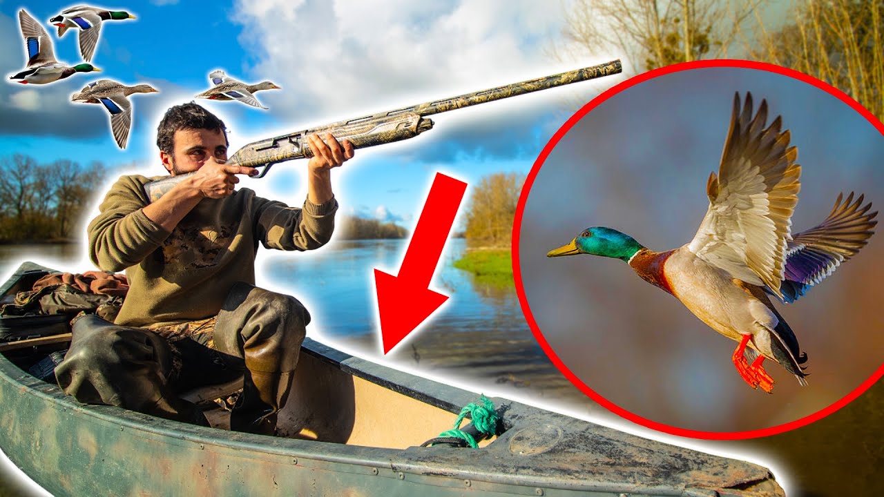 Chasse au Canard en Canoë sur une Rivière Sauvage !