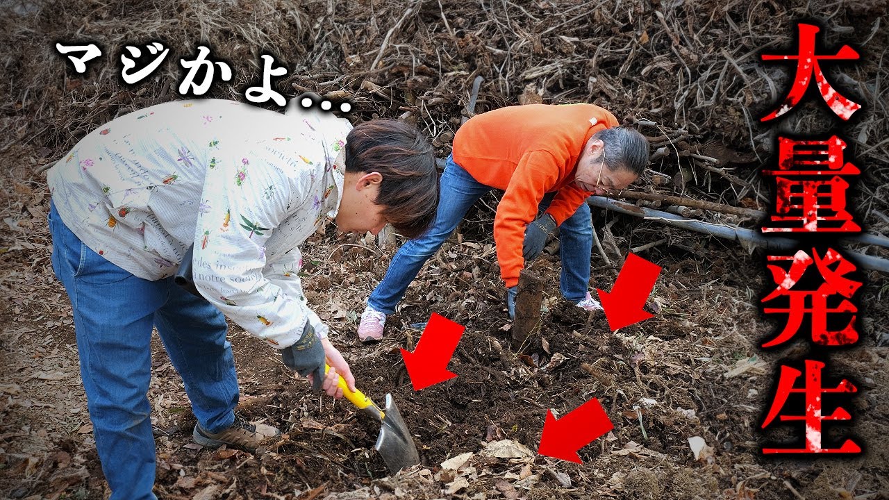 畑の土の中に【あの虫】が大量に潜んでいます...