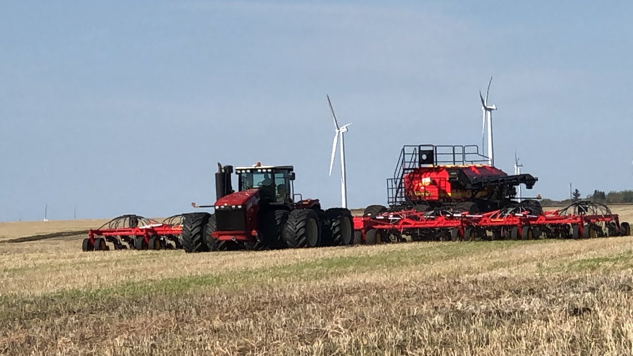 80 foot seed hawk zero till seeding fall rye in Western Canada 2021