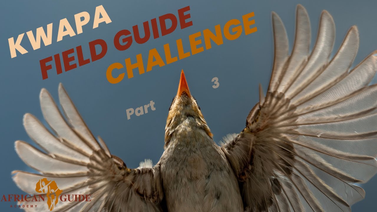 Kwapa Tracks: Interactive Field Guide Challenge - Episode 3 - African Guide Academy