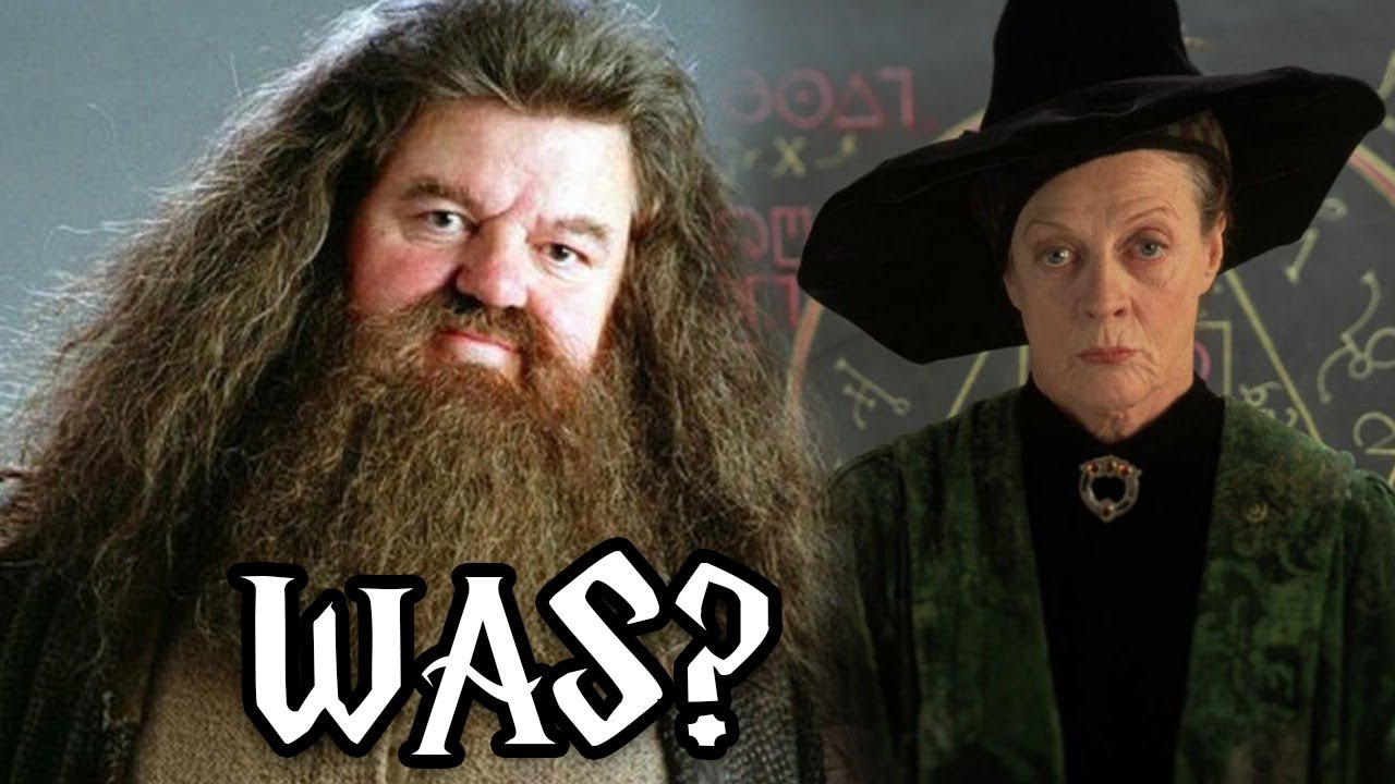 WAS passierte mit diesen Hogwarts Professoren nach der Schlacht um Hogwarts?