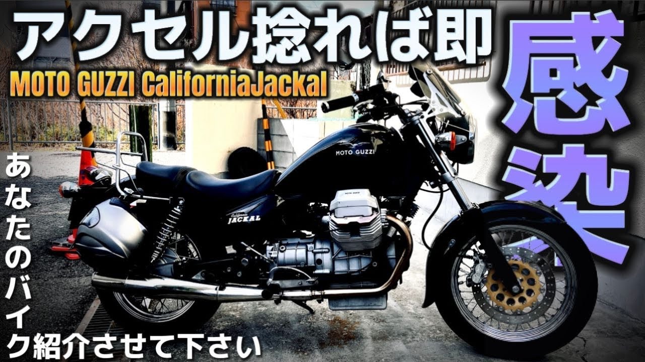 アメリカンのフレームレイアウトと縦置きVツインの相性が抜群過ぎた！モトグッツィカリフォルニアジャッカル@motolab104