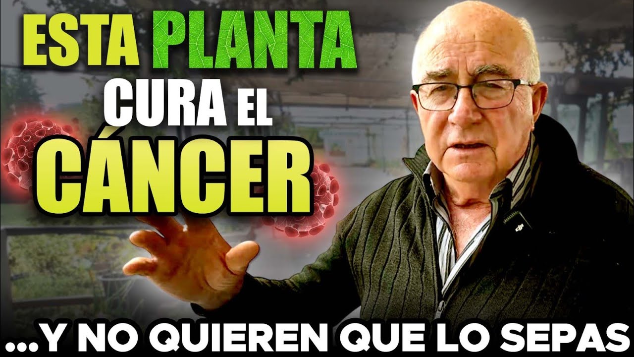 Josep P&agrave;mies: El Documental