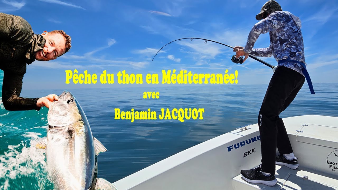 Pêche du thon en Méditerranée 2024