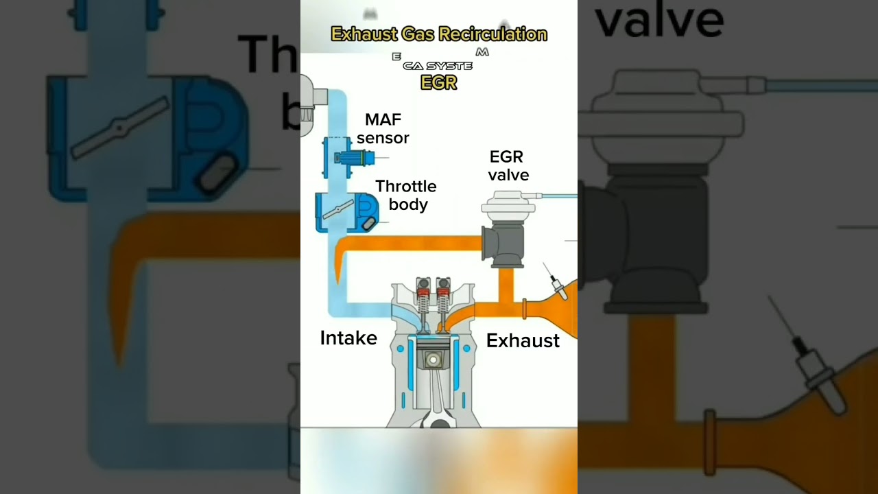 EGR system for vehicle how to work #EGR #diesel #engine #setting #shortvideo #bs6