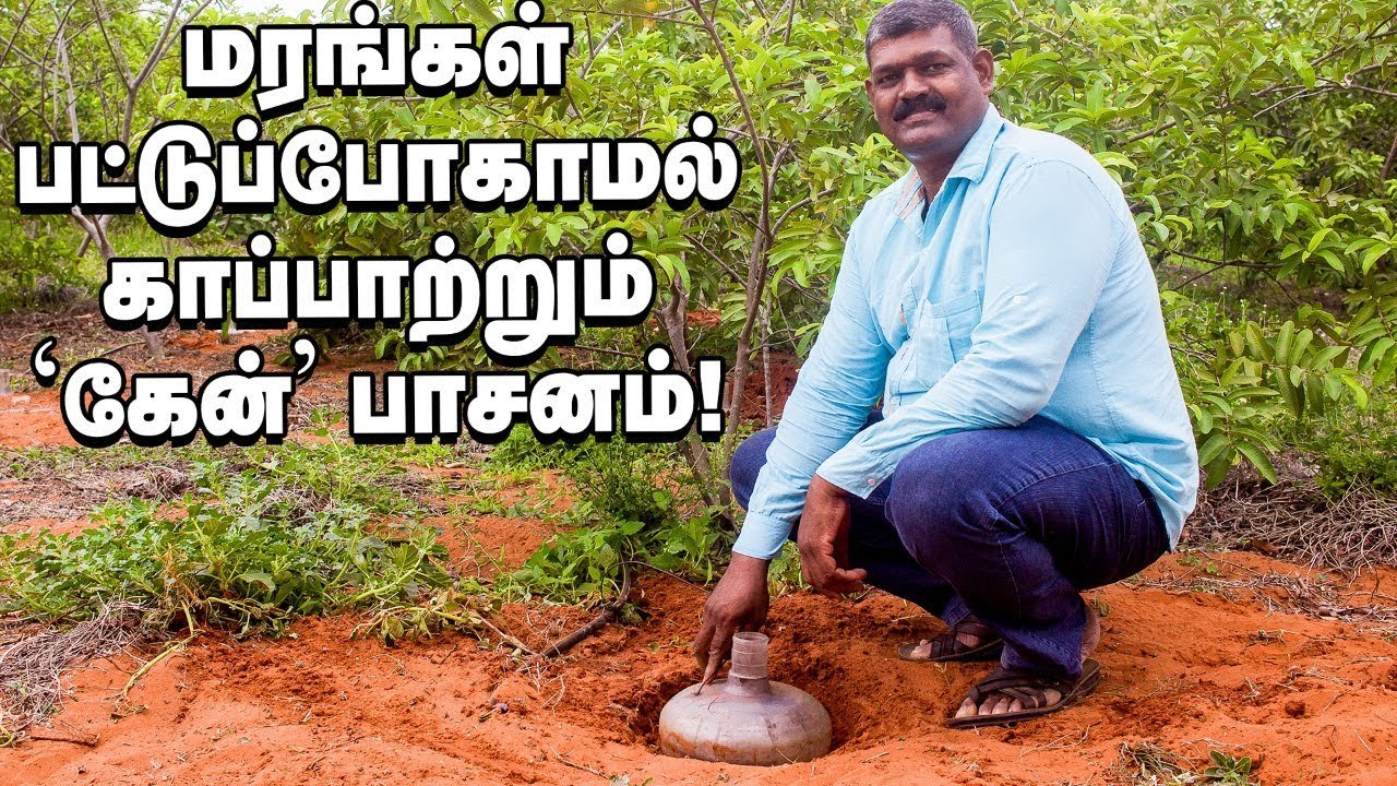 வறட்சிக்குக் கைகொடுக்கும் 'வாட்டர் கேன்' பாசனம்!