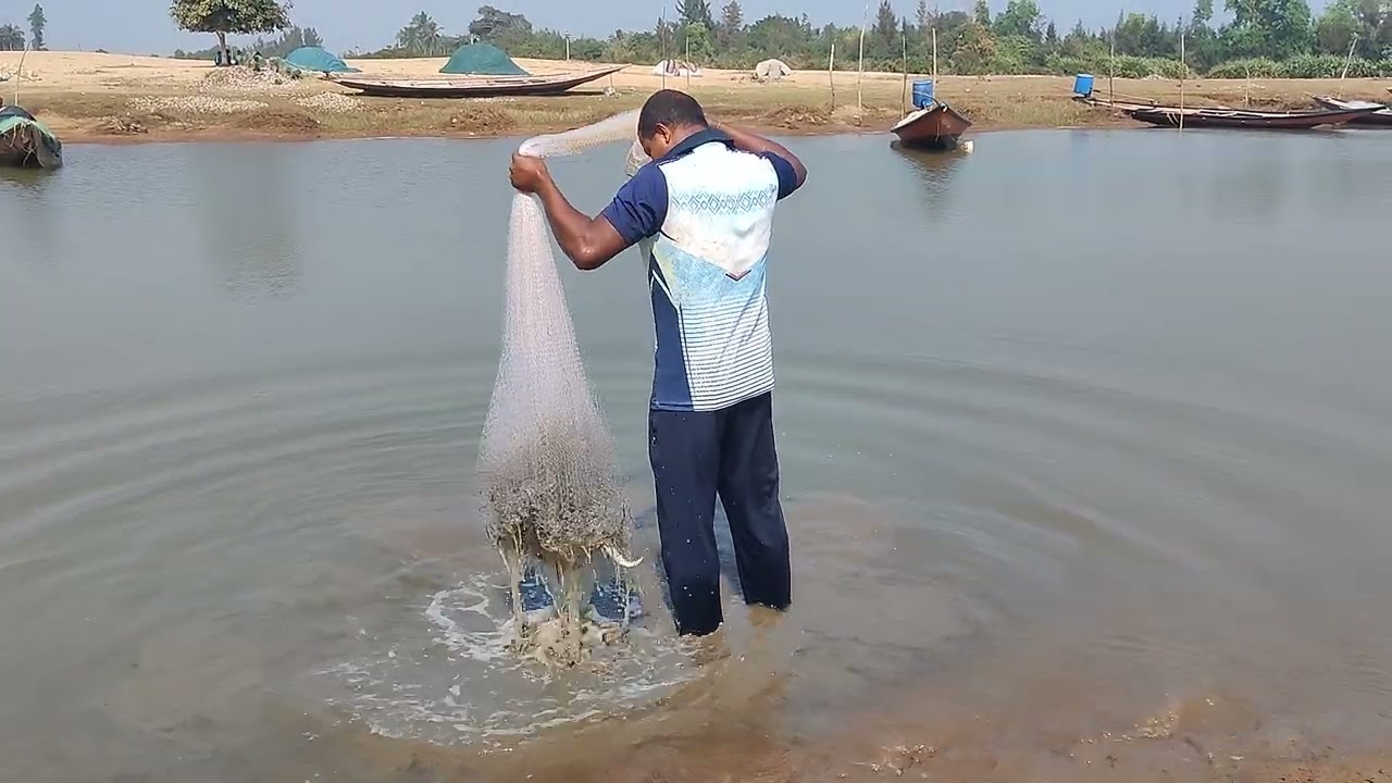 #amazing# best net fishing video fish 🐟🐟 hunting by catch net fishing #fishinglifi