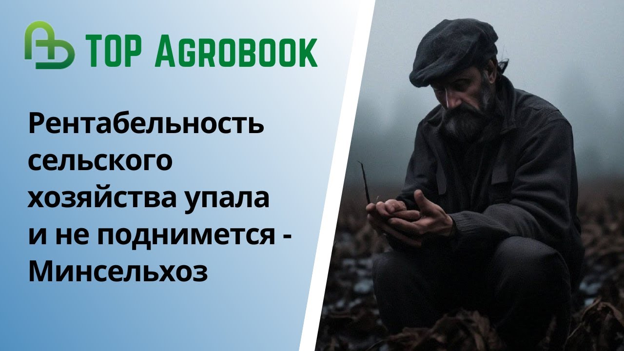 Рентабельность сельского хозяйства упала и не поднимется - Минсельхоз | TOP Agrobook: агроновости