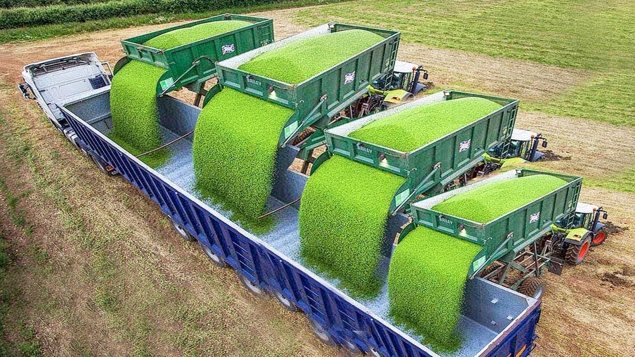 VOLVO Cow Farm HOOF Cure Farming Automatic Milking John Deere X9