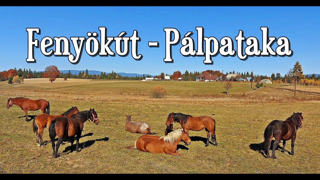 Székelyföld - Kiránduljatok velünk, utazzunk az őszi Fenyőkúton és Pálpatakán Hargita megyében