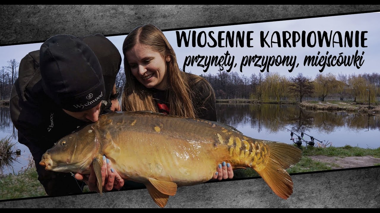 WIOSENNE ŁOWIENIE KARPI - PRZYNĘTY PRZYPONY MIEJSCÓWKI