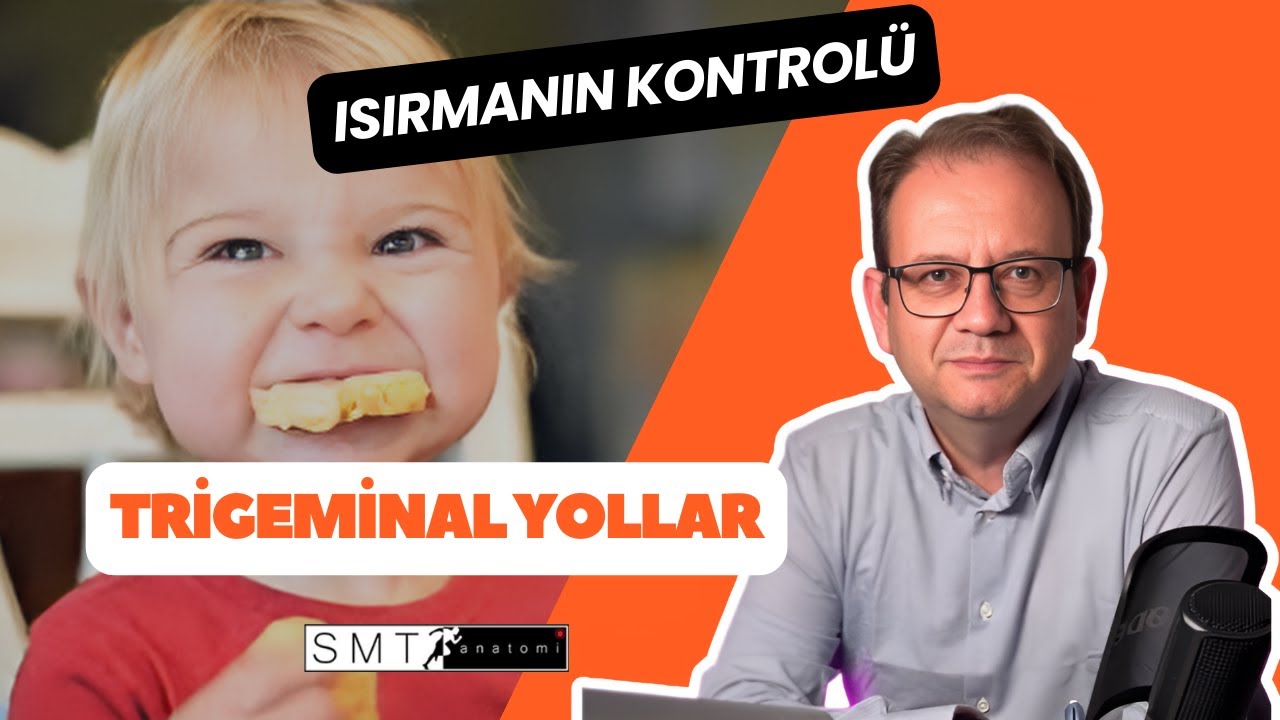 Hikaye Tadında Anatomi: Trigeminal Yollar, Kornea Refleksi ve Isırmanın Kontrolü