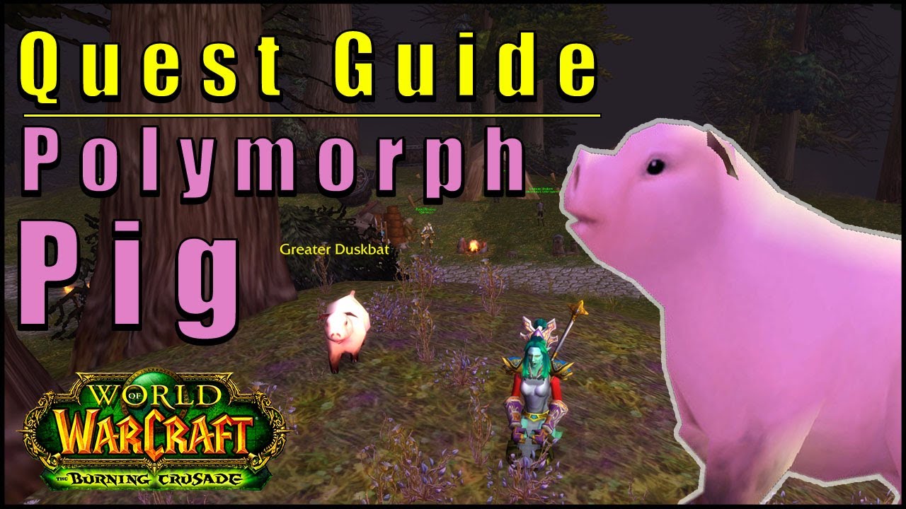 Polymorph Pig -  quick quest guide - learn to turn people into pigs fast! Simple TBC WoW Mage quest