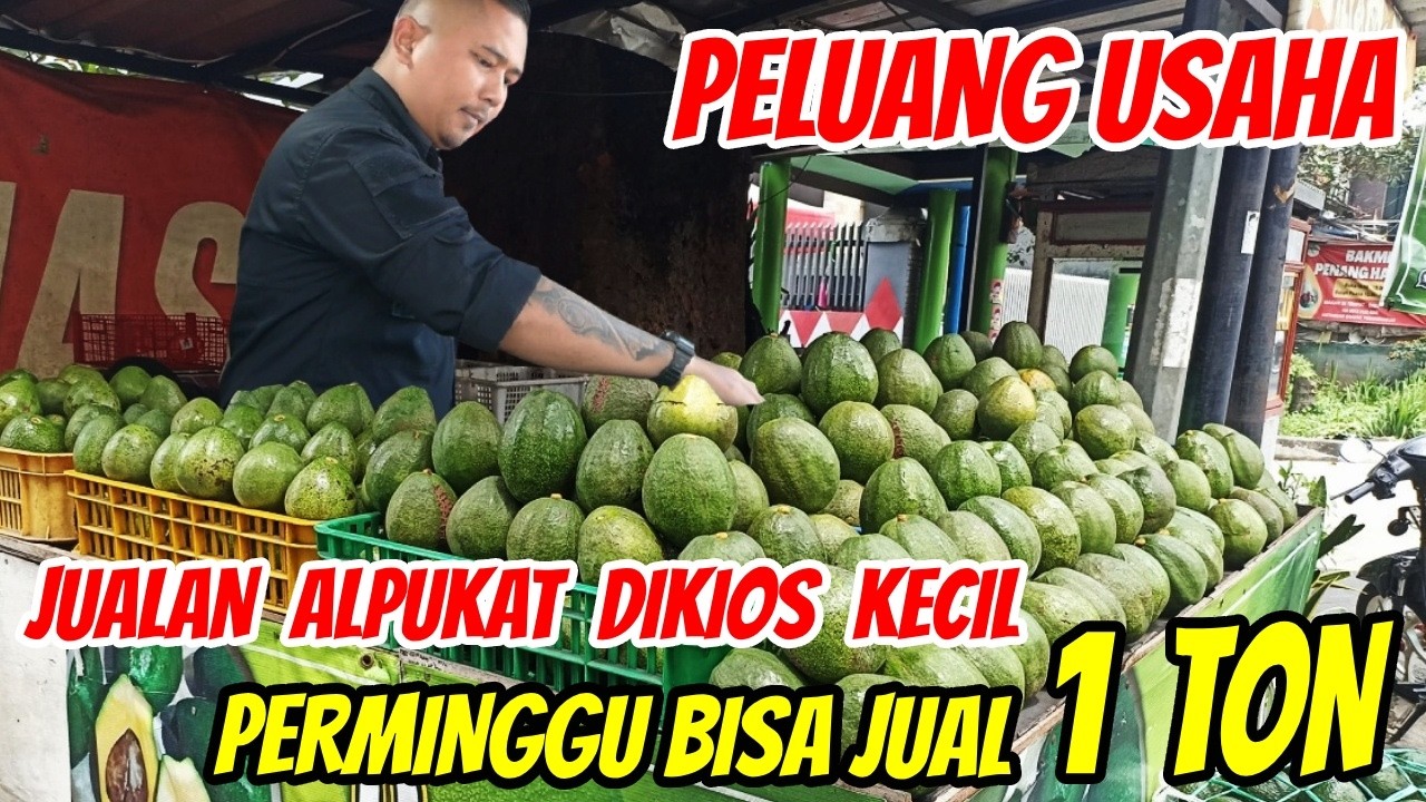 Peluang Usaha Menjanjikan Jualan Buah ALPUKAT