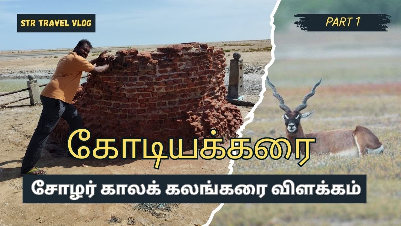 கோடியக்கரையில் ஒரு நாள் / STR / Kodiyakarai /Part 1 #travelvlog #kodiyakarai #str#cholalighthouse