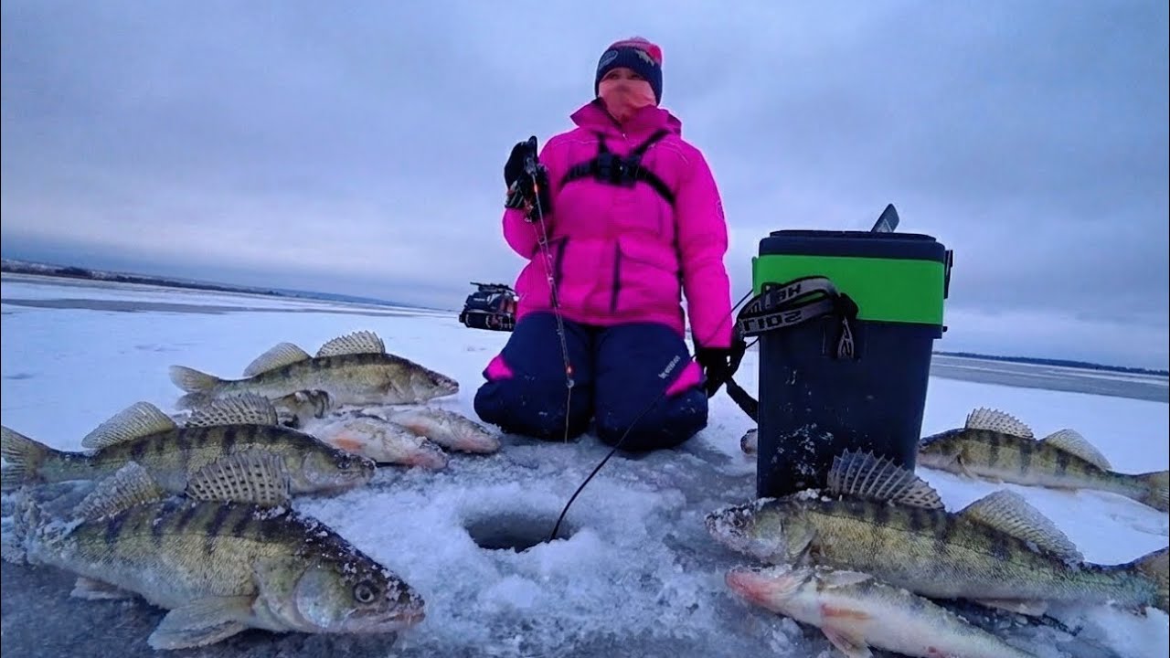 ПЕРВЫЙ ЛЁД! ТУТ ТОЛПА ЧЕЛОВЕК 300 ЛОВИМ СУДАКА! РЫБАЛКА ПО ПЕРВОМУ ЛЬДУ 