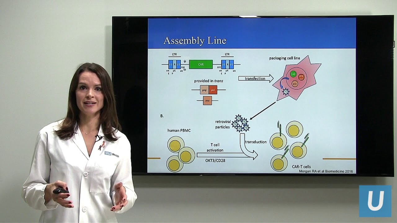 CAR T at UCLA: Driving the Progress of Engineered Cell Therapy | Sarah Larson, MD | UCLAMDChat