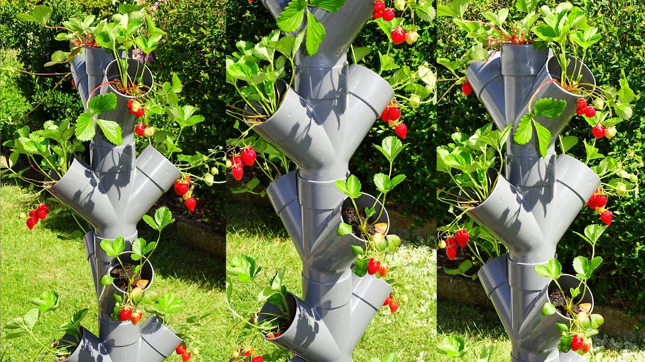 Comment réaliser facilement une tour à fraise. Tour à fraise pvc.