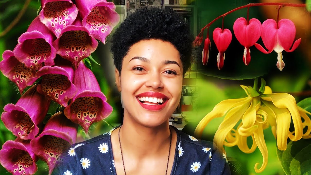 top 10 Venus plants for spells🌹🌺